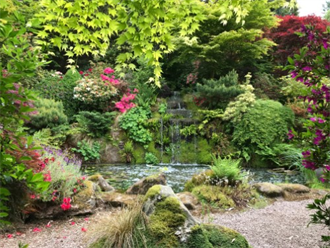 Waterfall amongst maples and rhododendrums